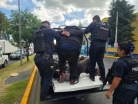 Disminuye la incidencia delictiva en Cholula gracias a estrategias de seguridad de Tonantzin Fernández
