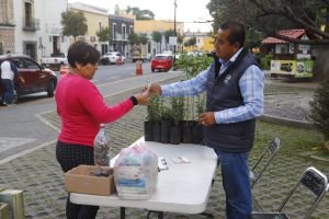 Últimos días de "Verde Navidad" y "Reciclatón" en San Pedro Cholula