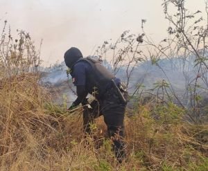 Policía Montada refuerza vigilancia en el Cerro Zapotecas y se suma al combate de incendios